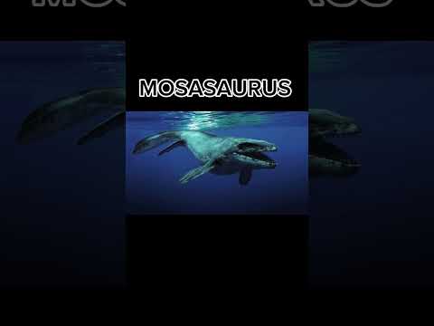 Things that are bigger than you think #shorts #mosasaurus