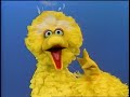 Classic Sesame Street Big Bird S Feet Poem