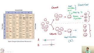 Download lagu Week 9 : Lecture 45 : dN/dS mp3 Download lagu Week 9 : Lecture 45 : dN/dS mp3
