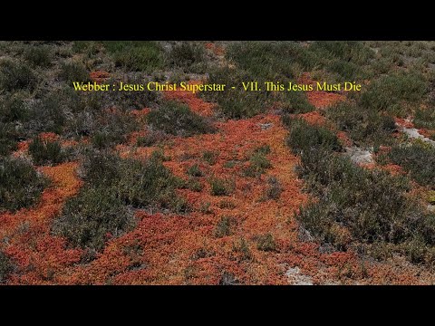 Webber : Jesus Christ Superstar  -  VII. This Jesus Must Die