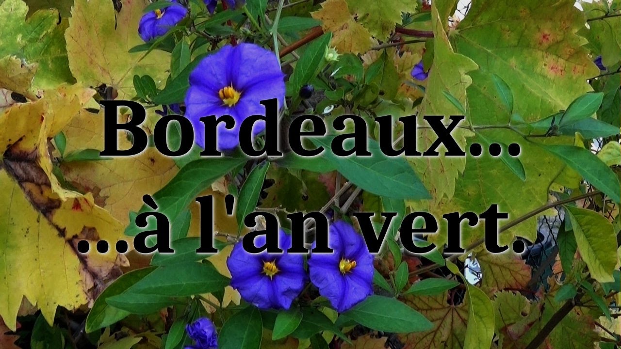 Cliquer pour lancer la vidéo