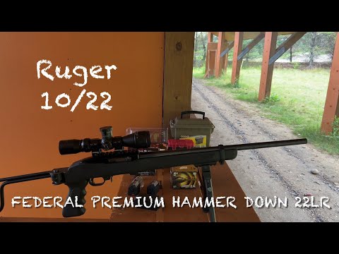 Federal Premium Hammer Down 22LR in a Rugwr 10/22. Pretty good ammo for being bulk packed