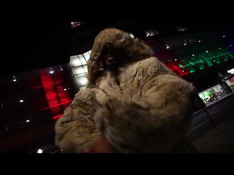 Breeze Da Legit x Lil'Juu Widdaus x Dot Hus - Aint Legit (Official Video)