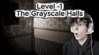 Level -1 The Grayscale Halls! Backrooms Escape Together.