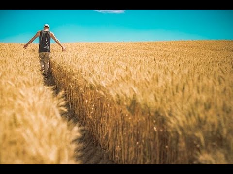 Intuitiver Impuls zum Wochenstart aus dem Tarot 25.01.2021 - Du erntest was du säst!