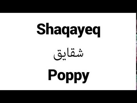 How to Pronounce Shaqayeq! - Middle Eastern Names