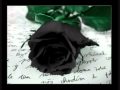 Black Rose - Imazhe Tymi