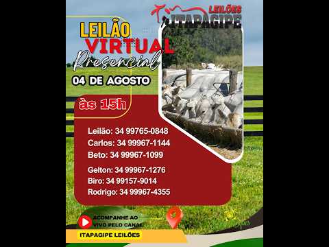 LEILÃO VIRTUAL  - ITAPAGIPE LEILÕES  04/08/2026- ITAPAGIPE-MG.