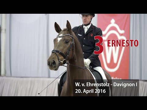 03 Ernesto Wallach v. Ehrenstolz - Davignon