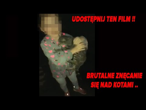 Znęcanie się nad małym kotkiem udostępniajcie ten film niech poniosą konsekwencje..