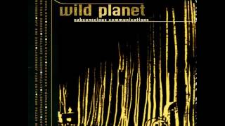 Twilight Circus - Untra Binghi [Brain Melter Mix]