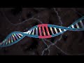 Video 'Jak funguje CRISPR'