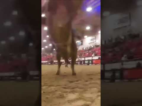 Adriano Salgado dá um depoimento emocionante!