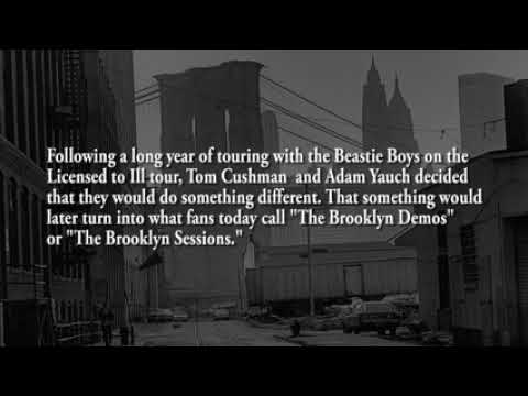 Brooklyn Demo : Adam Yauch, Daryl Jennifer, Doug E Beans, Tom Cushman