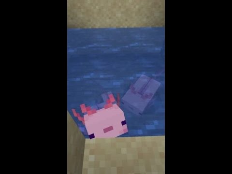 Fukushima Ch. 福島 - Vtuber slaughters endangered species by accident (in Minecraft)