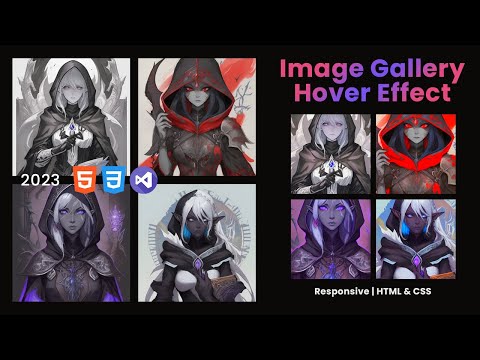 Responsive Image Gallery Hover Effect Using Html Css