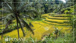 Ponant: Asia Ponant: Asia