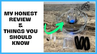 Watch This Before You Buy the Brook Glass Pet Fountain