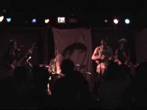 The Bicycats-Shark Family Orchestra live @ the Bug Jar