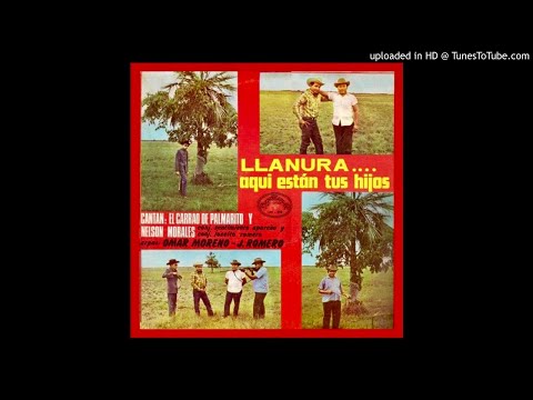 05. Apure Lindo - El Carrao De Palmarito