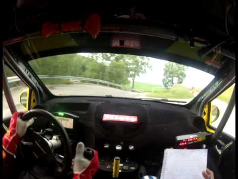 Camera Car Ronde del Ticino 2014 Daldini-Rocca / Twingo R2 EVO