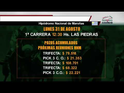 CARRERAS MARONAS 30 DE AGOSTO 2020 - WWW.MARONASONLINE.COM