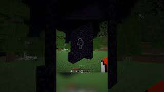 donut smp's BEST trap