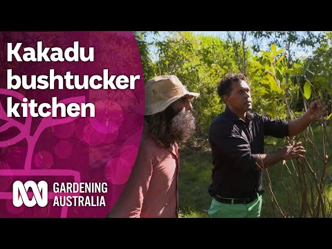Sourcing bush tucker ingredients to prepare a meal in Kakadu | Discovery | Gardening Australia