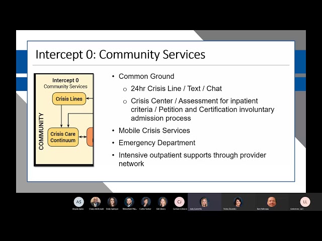 Webinar 1 - Prevention and Diversion