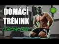 DOMÁCÍ FULL BODY TRÉNINK | Bez vybavení