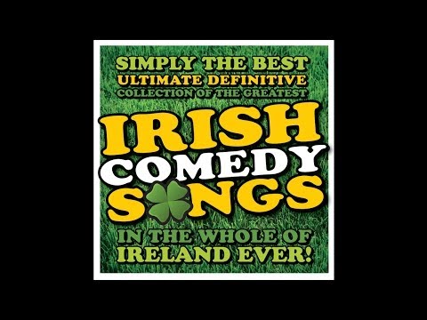 Sharon Shannon & Dessie O'Halloran - Say You Love Me [Audio Stream]