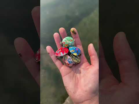 🐢💔 وجد صغار السلاحف وحدهم… ثم ظهرت أمهم فجأة! 😭❤️