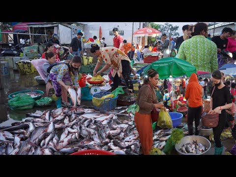 Cambodian Early Morning Fish Market Scene - Plenty Alive Fish, Seafood & More @PrekPhnov Fish Market