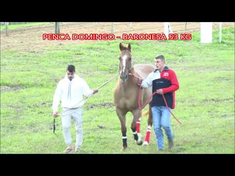 JC. RIO NEGRO PR. APRESENTAÇÃO GP. POTROS INÉDITOS  + PENCA 27/ 28 DE JUNHO 2026