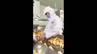 Mquina de fazer po com tecnologia incrvel !!