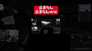 全然、車が止まらんｗｗｗ #eurotrucksimulator2 #ユーロトラックシミュレーター2