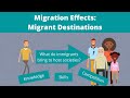 Effects Of Migration In Countries Of Destination