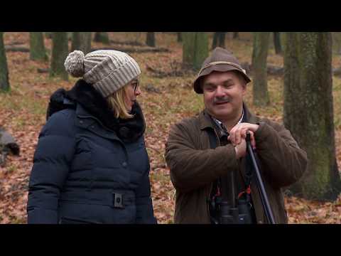 Gasztroangyal 1. rész – Gyulaji erdei túra (2019)