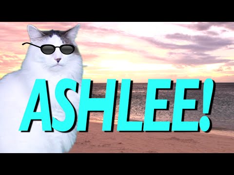 HAPPY BIRTHDAY ASHLEE! - EPIC CAT Happy Birthday Song