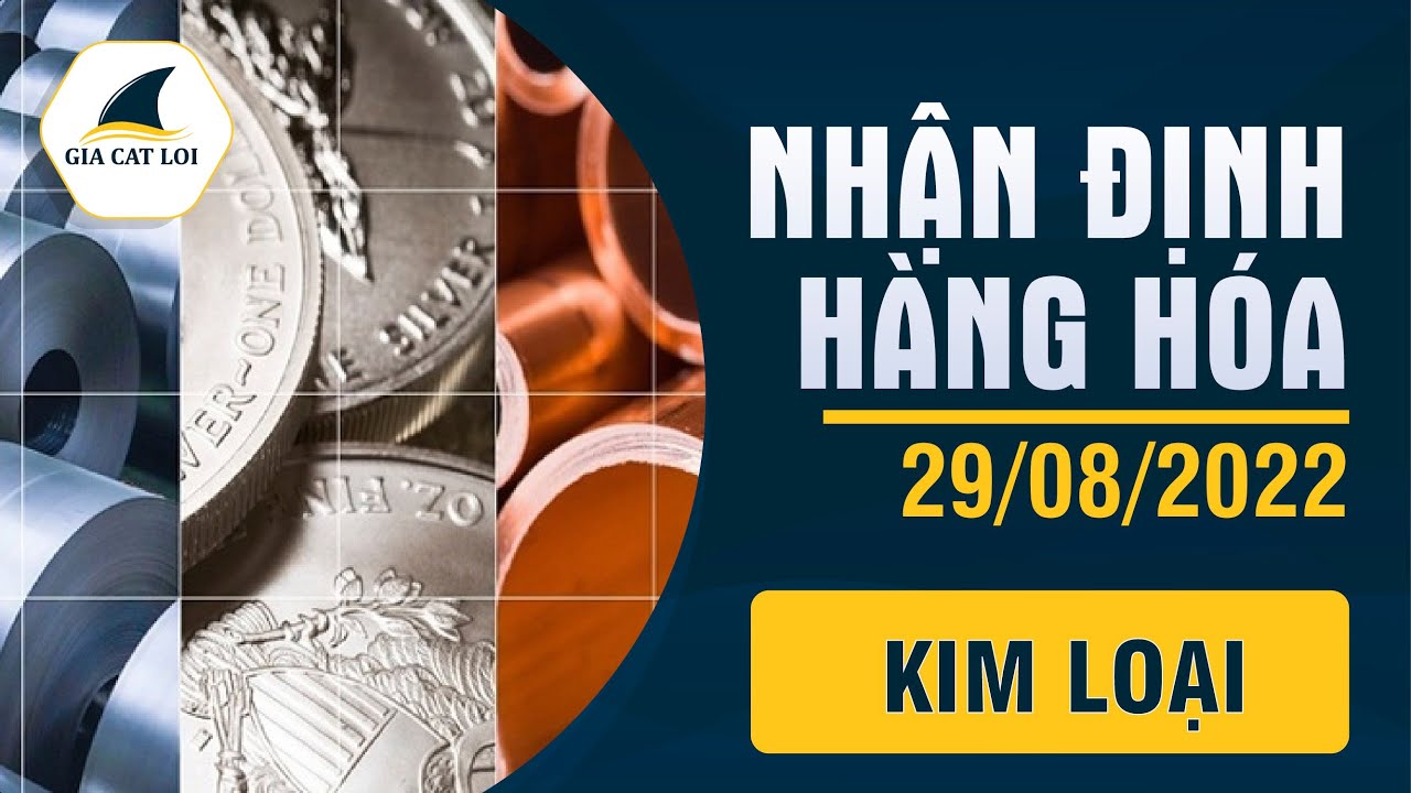 Nhận Định Thị Trường Kim Loại Ngày 29/08/2022