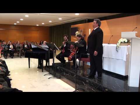 Evocació al Pirineu