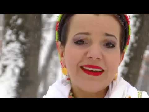 Irina Zoican - Colaj
