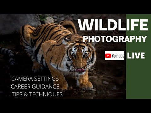 Wildlife Photography Tips and Techniques with Munish Palaniappan | Tamil Photography Tutorials