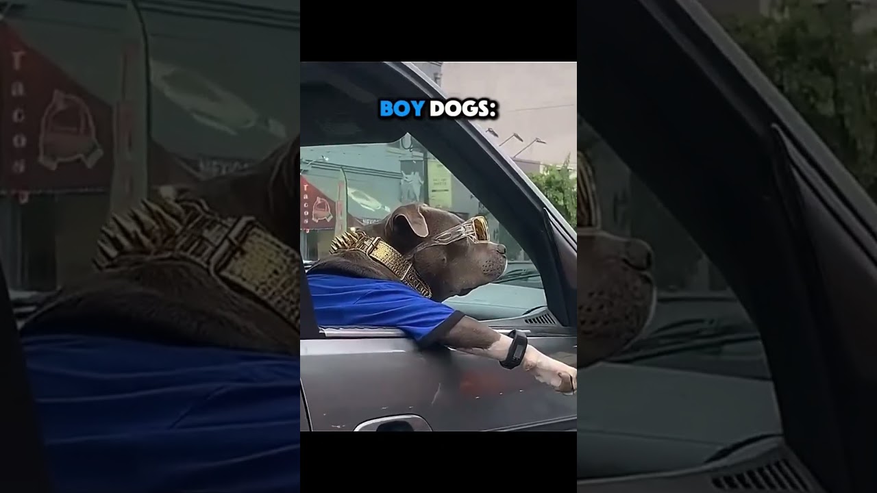 Coldest Troll FACE Compilation 🥶 Troll FACE Phonk Tiktoks 🥶 Coldest Moments Of All TIME