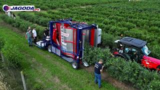 Комбајн за бобинки Jagoda Raspberry & Blueberry Harvester JAGODA 300 се продава - Слика 4 | Agroline MK Нови комбајн за бобинки Jagoda Raspberry & Blueberry Harvester JAGODA 300 | Слика 4 - Agroline