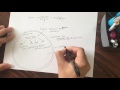 RNA Interference RNAi Basic Mechanism Graduate Level