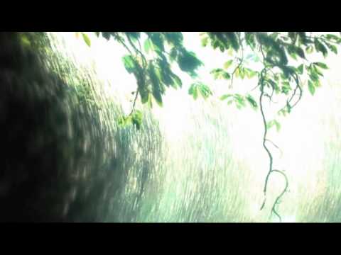 Thomas Fanger & Mario Schönwälder - Liquid Tape 5