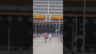 Disney Dream long line for going back to the ship 🚢 #disney #cruiseship #cruise #disneydream
