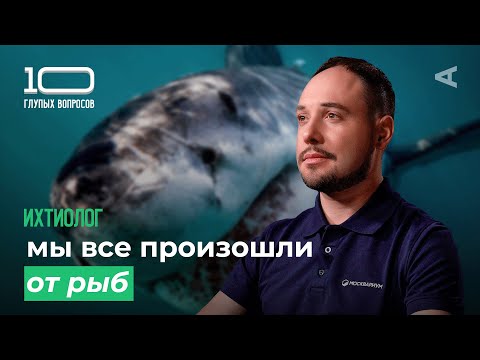 10 глупых вопросов ИХТИОЛОГУ