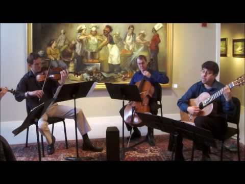 Rodrigo Concerto de Aranjuez 2nd movement (excerpt) Oren Fader, guitar